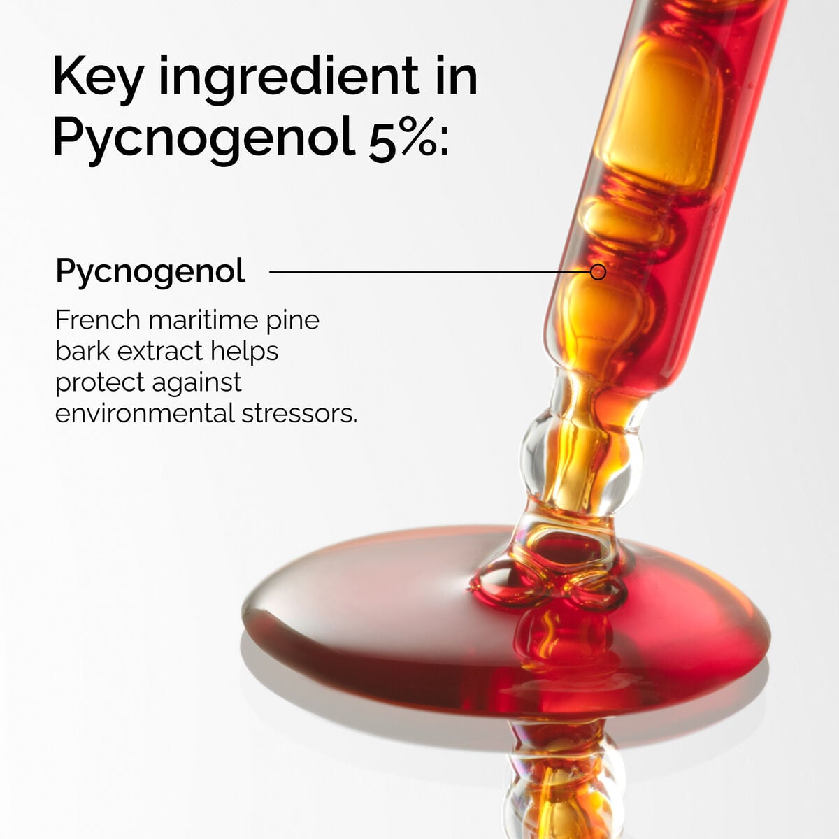 pycnogenol-5-e1 FY25-D41247-ORD-Web-PDP-Pyc-5pct-1x1-EN-2a.jpg