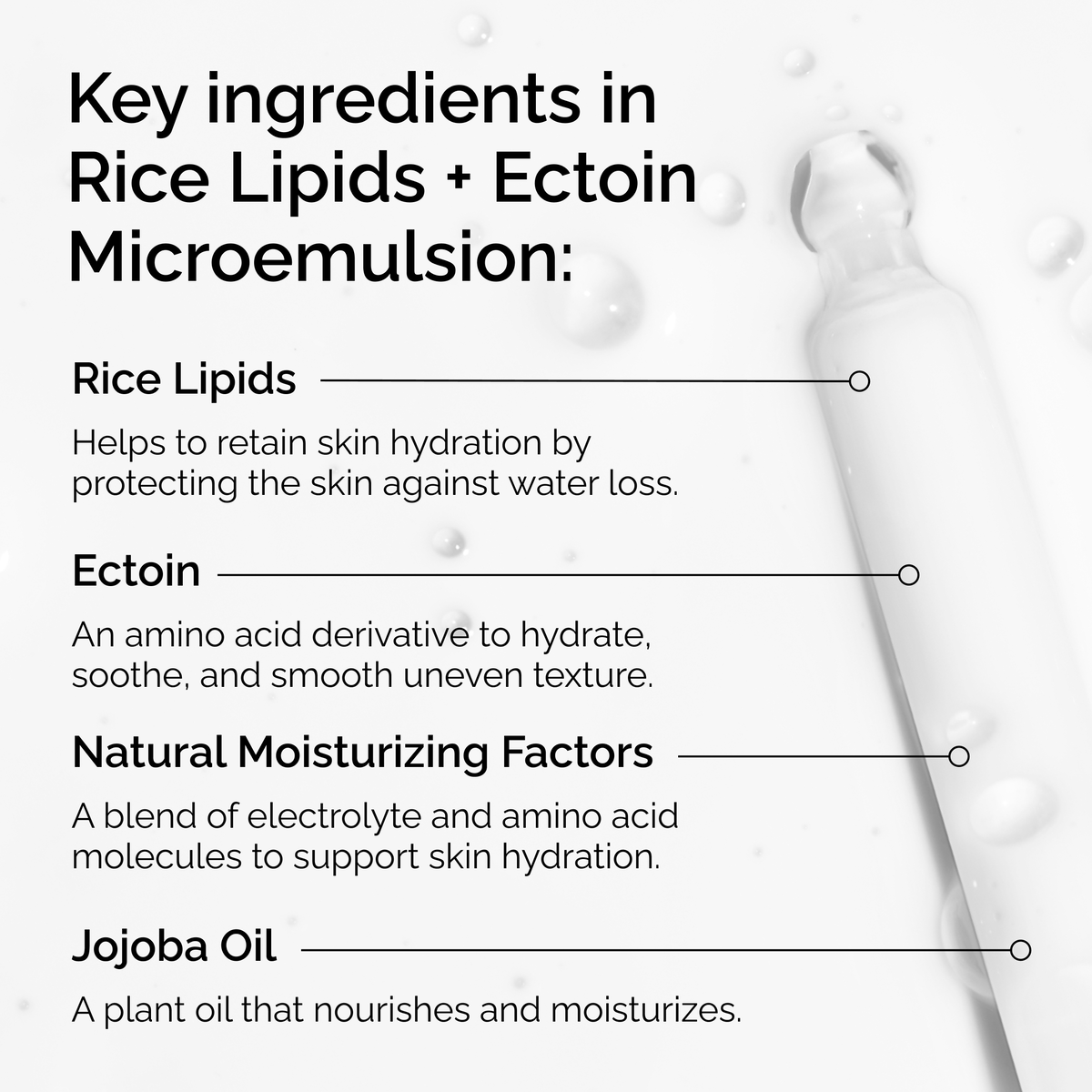 rice-lipids-ectoin-microemulsion-l4 ord-rice-lipids-ectoin-microemulsion-key-ingredients.png
