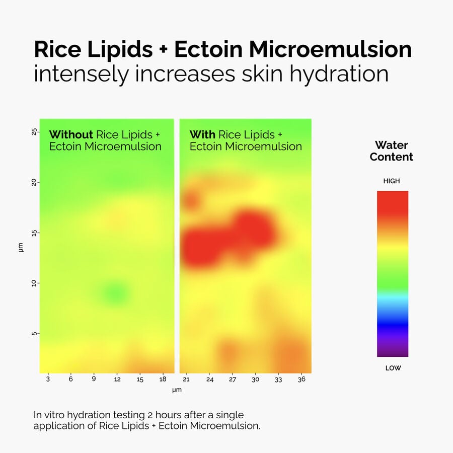 rice-lipids-ectoin-microemulsion-l4 ord-rice-lipids-ectoin-microemulsion-thermal-before-after.jpg